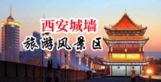 俄罗斯大鸡巴操中国小逼中国陕西-西安城墙旅游风景区